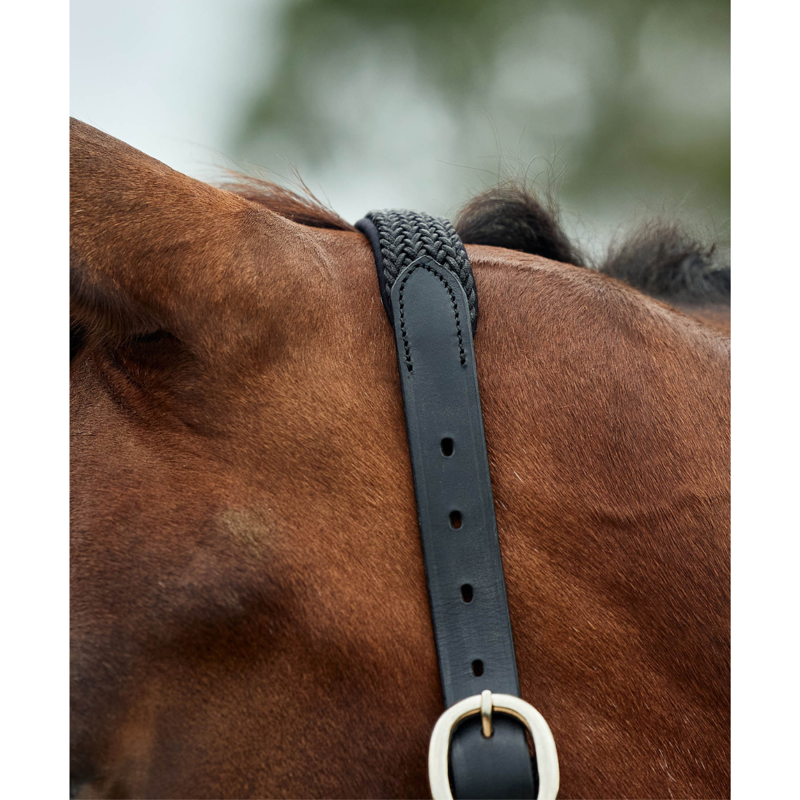 Dublin Braided Leather Headcollar - Black-2