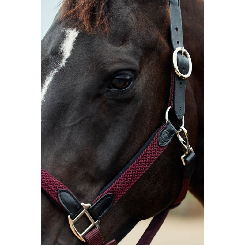Dublin Braided Leather Headcollar - Burgundy-2