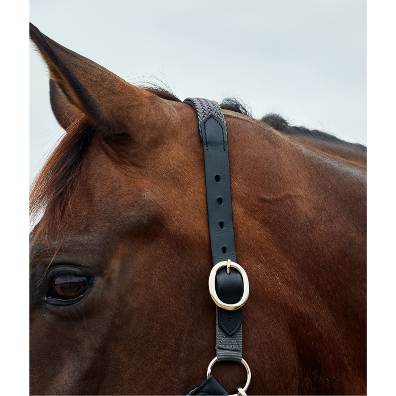 Dublin Braided Leather Headcollar - Charcoal-2
