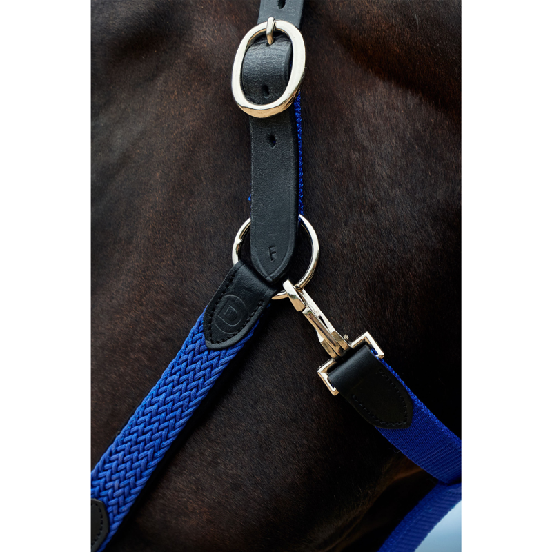 Dublin Braided Leather Headcollar - Cobalt-2