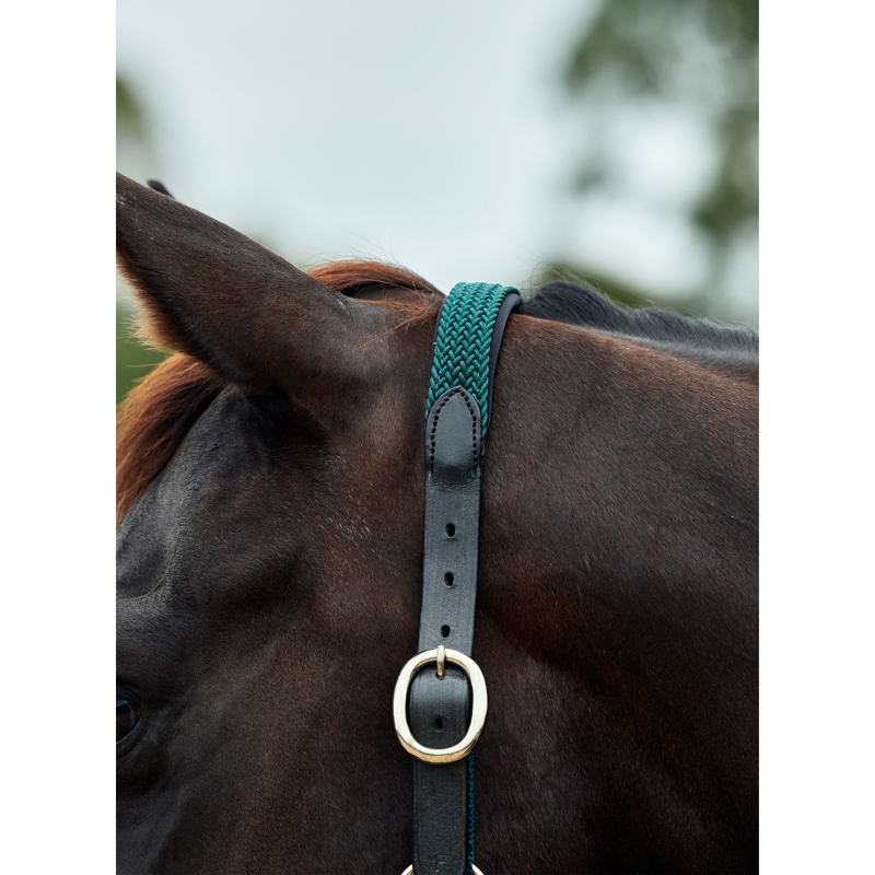 Dublin Braided Leather Headcollar - Hunter Green-2