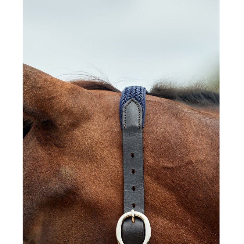 Dublin Braided Leather Headcollar - Navy-2