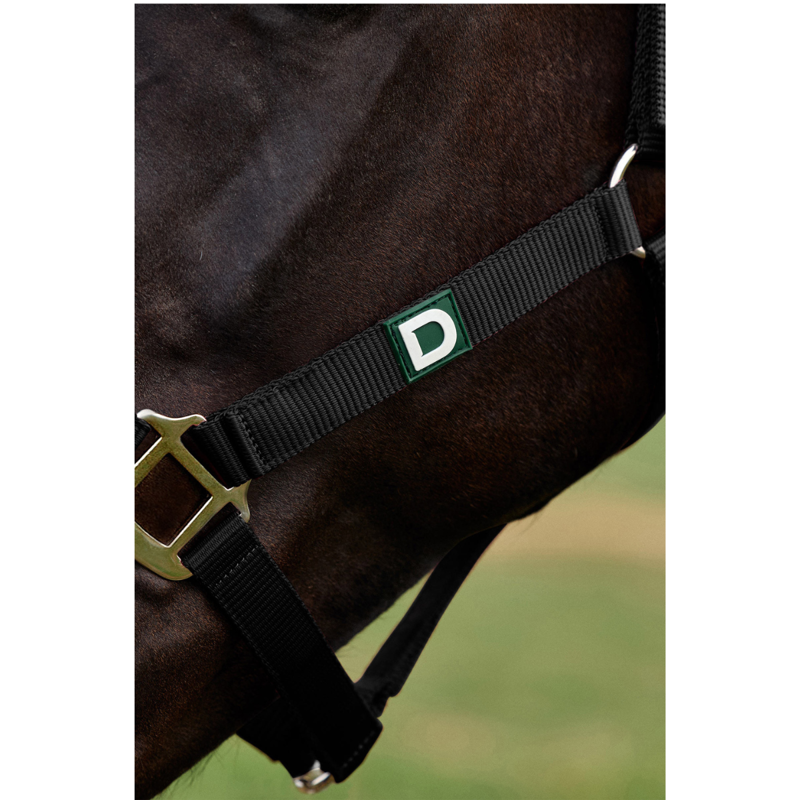 Dublin Everyday Headcollar - Black-2