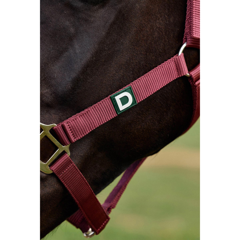 Dublin Everyday Headcollar - Burgundy-2