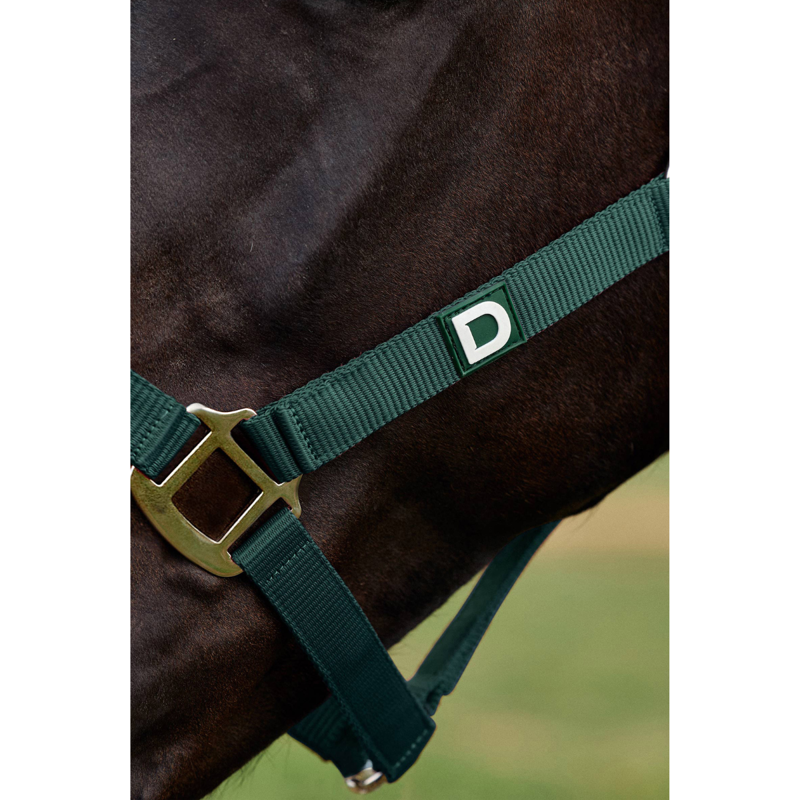 Dublin Everyday Headcollar - Green-2