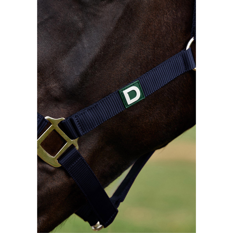 Dublin Everyday Headcollar - Navy-2
