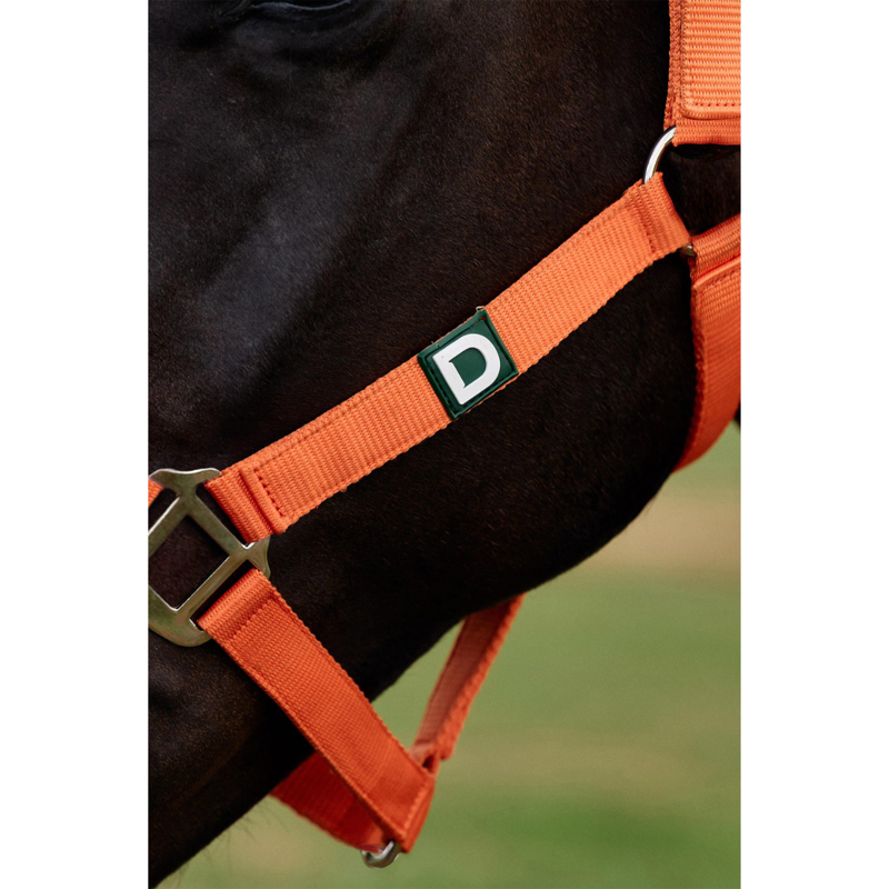Dublin Everyday Headcollar - Orange-2