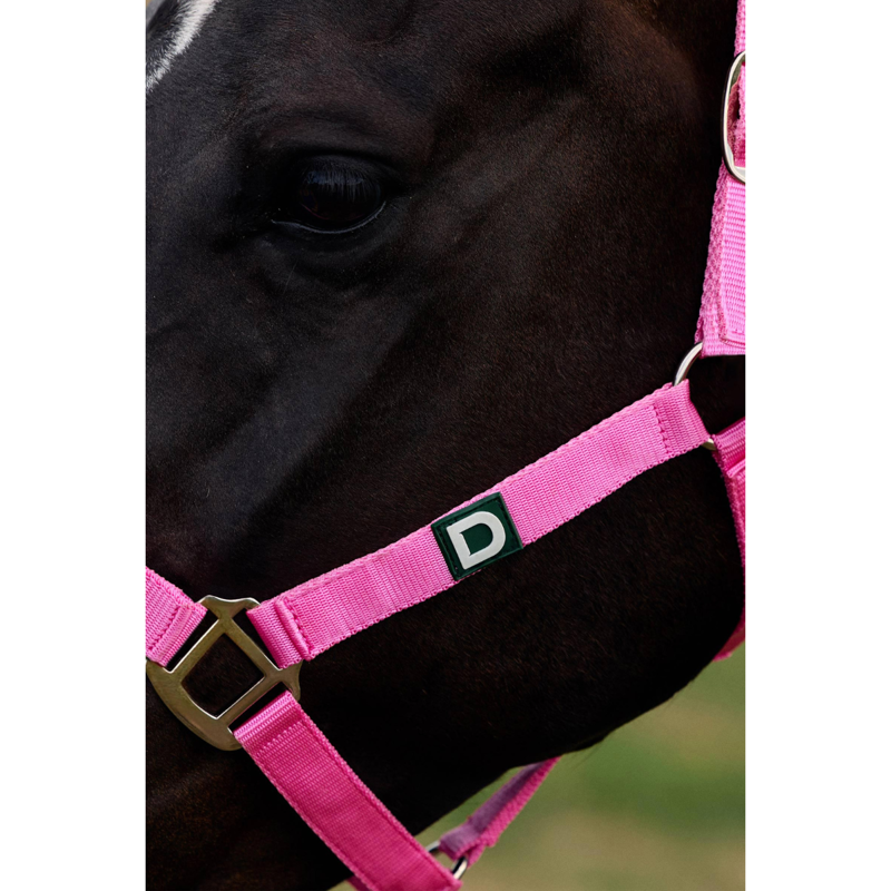 Dublin Everyday Headcollar - Pink-2