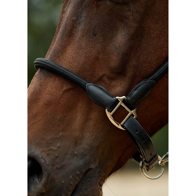 Dublin Leather Rope Headcollar - Black/Black-3