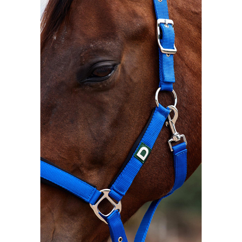 Dublin Neo Comfort Headcollar - Cobalt-2