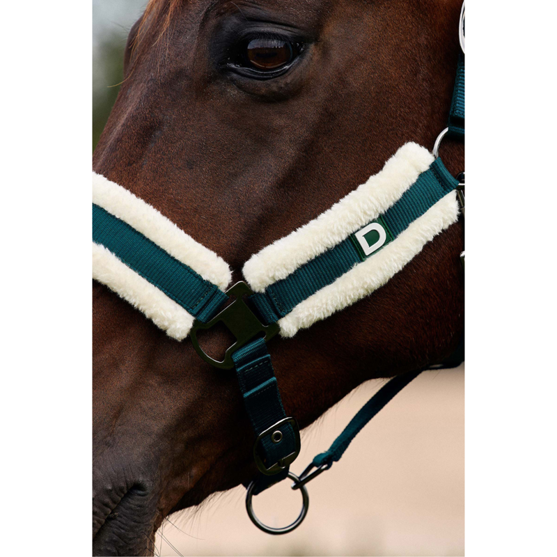 Dublin Soft Fit Headcollar - Green-2