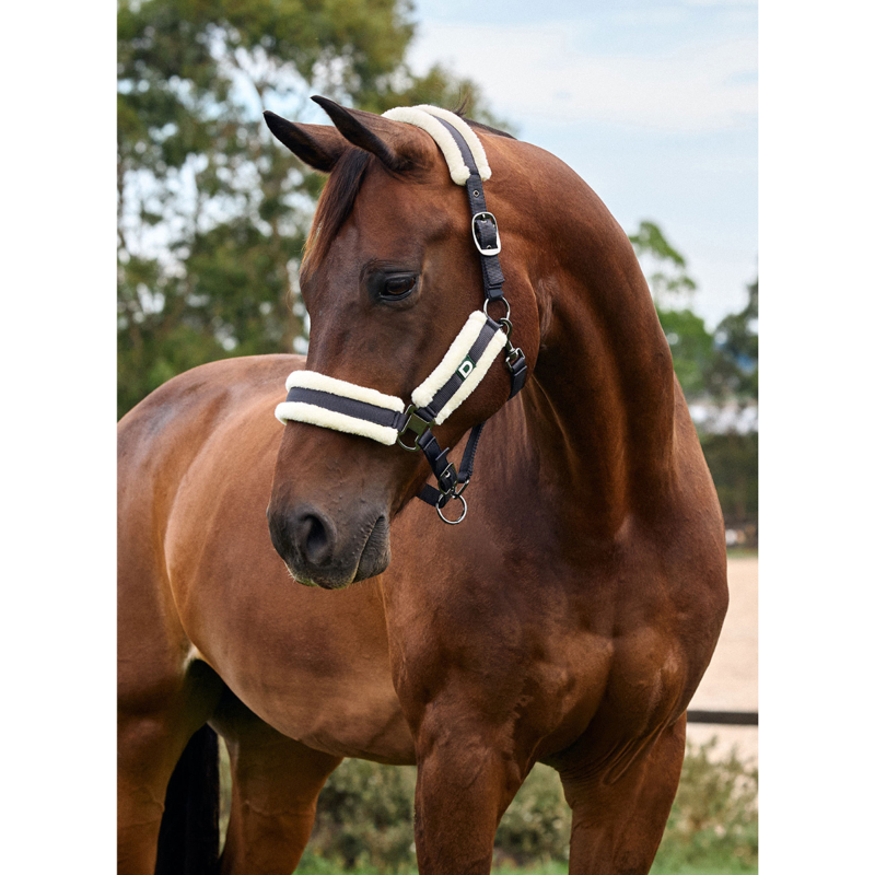 Dublin Soft Fit Headcollar - Navy-2