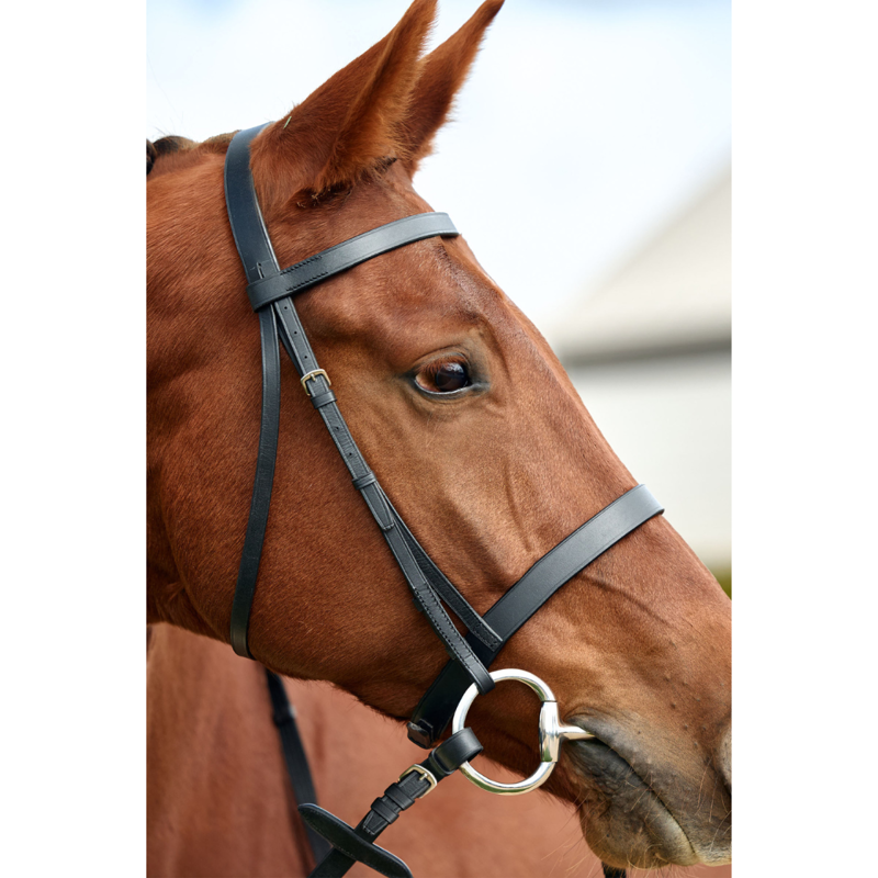 Dublin Flat Cavesson Bridle - Black-2
