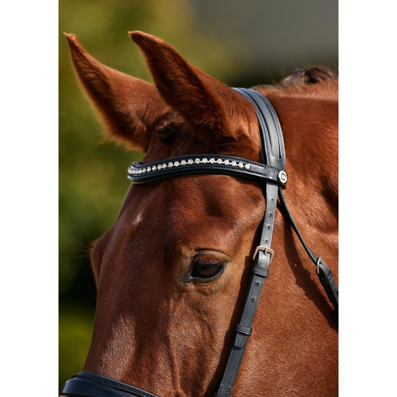 Dublin Padded Comfort Crown Patent Flash Bridle - Black-2