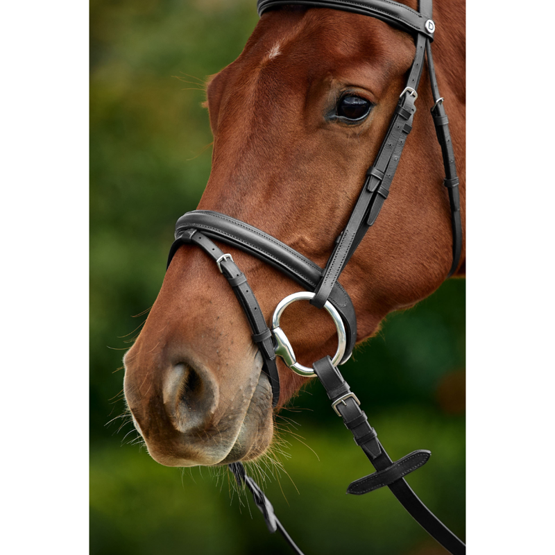 Dublin Padded Flash Bridle - Black-2