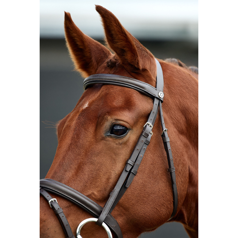 Dublin Padded Flash Bridle - Brown-2