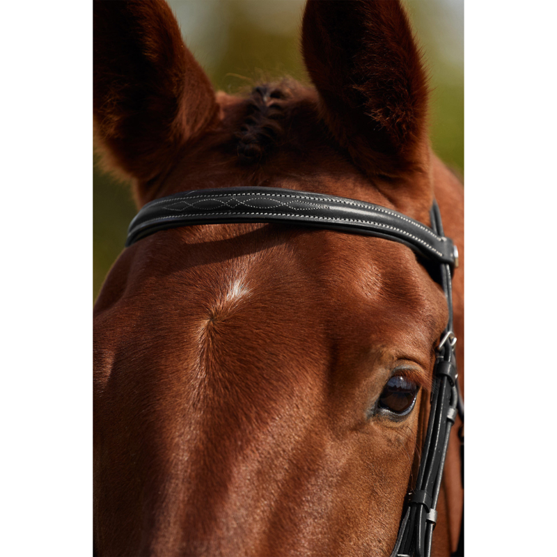 Dublin Padded Mono Crown Fancy Stitch Grackle Bridle - Black-2