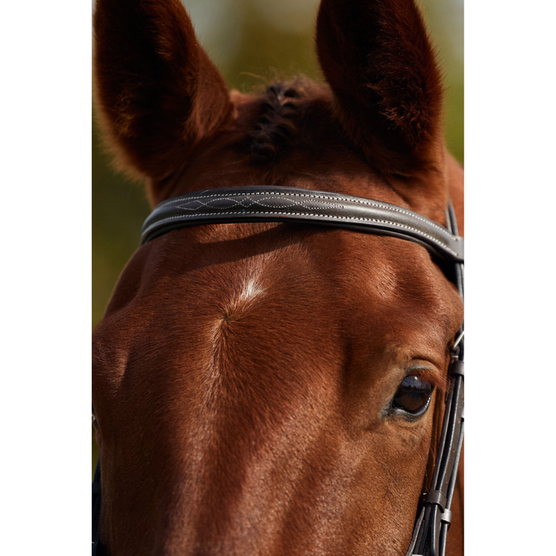 Dublin Padded Mono Crown Fancy Stitch Grackle Bridle - Brown-2
