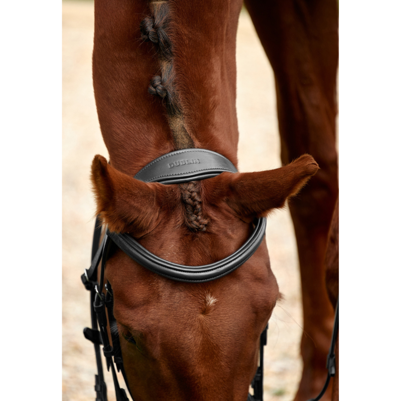 Dublin Padded Mono Crown Flash Bridle - Black-2