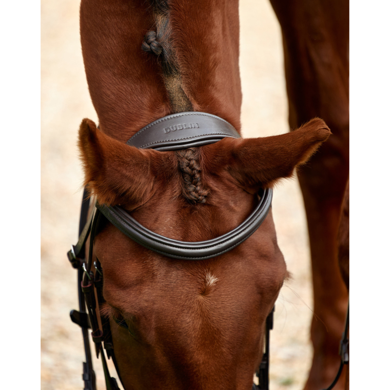 Dublin Padded Mono Crown Flash Bridle - Brown-2