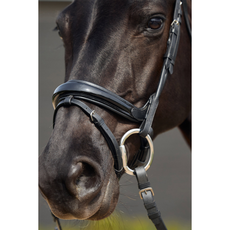 Dublin Padded Mono Crown Patent Flash Bridle - Black-2