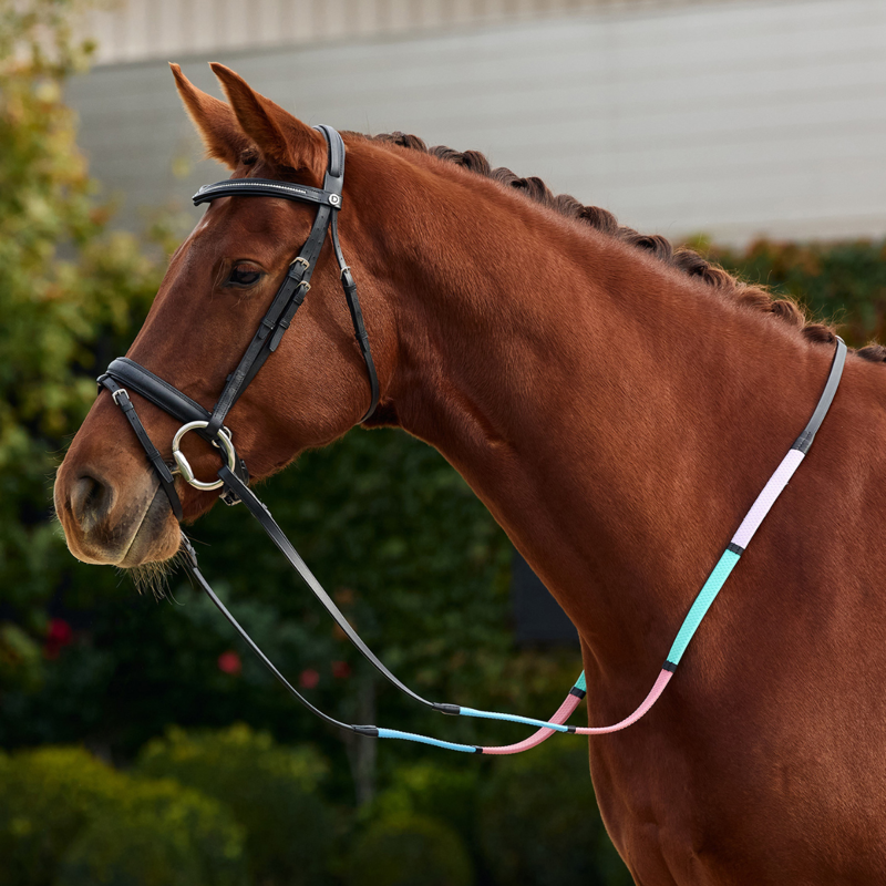 Dublin Pastel Rainbow Reins - Black/Multi-6