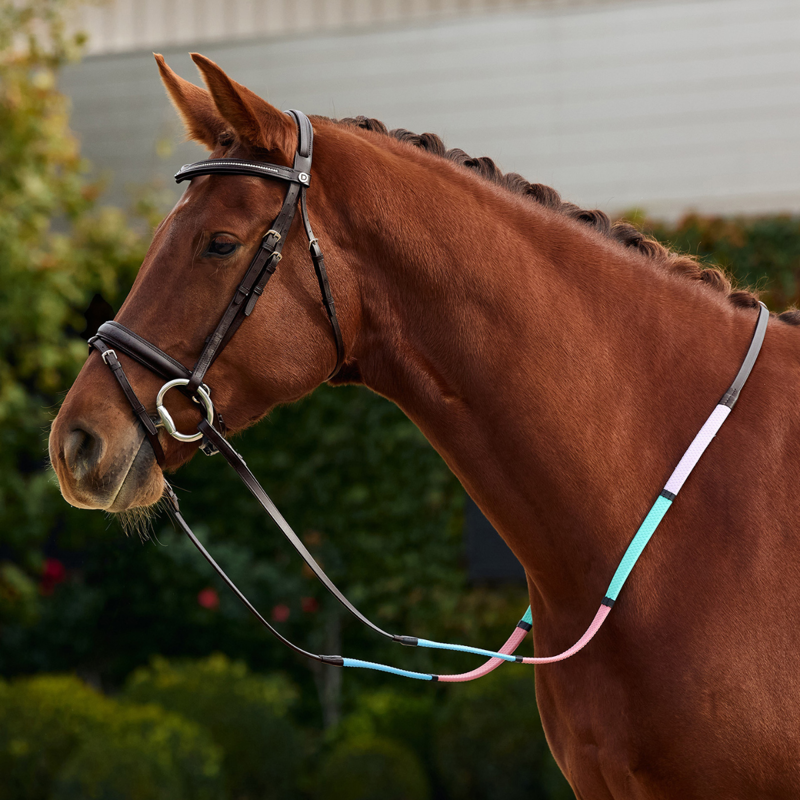 Dublin Pastel Rainbow Reins - Brown/Multi-5