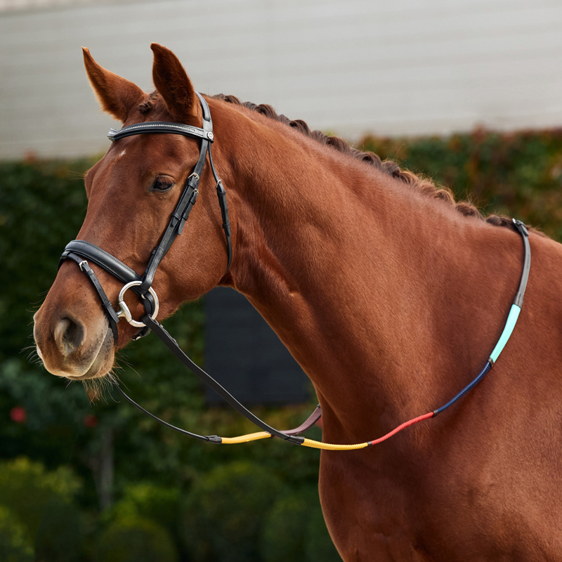 Dublin Rainbow Reins - Black/Multi-4