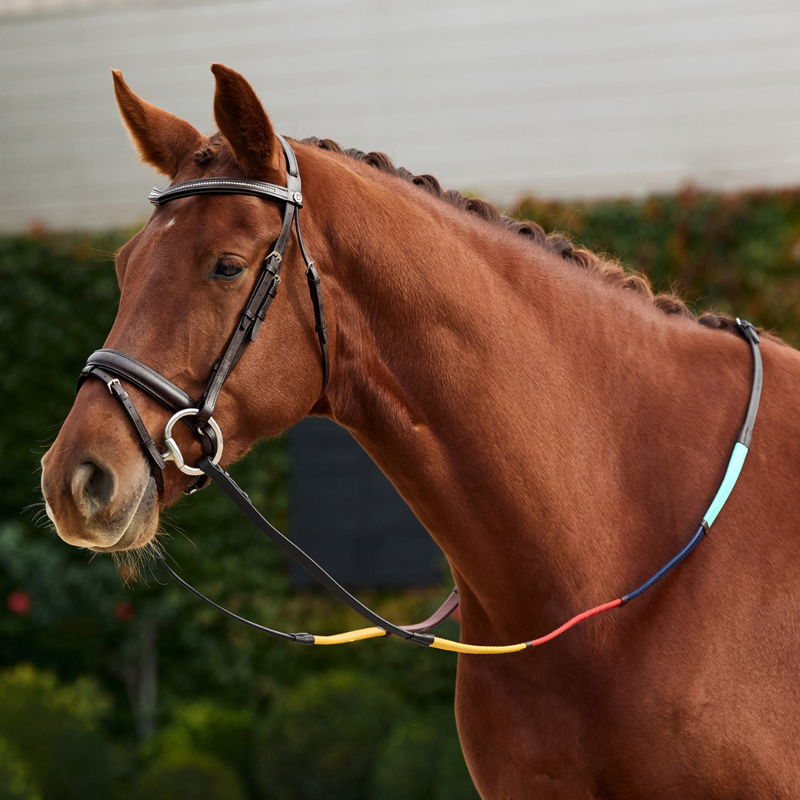 Dublin Rainbow Reins - Brown/Multi-2