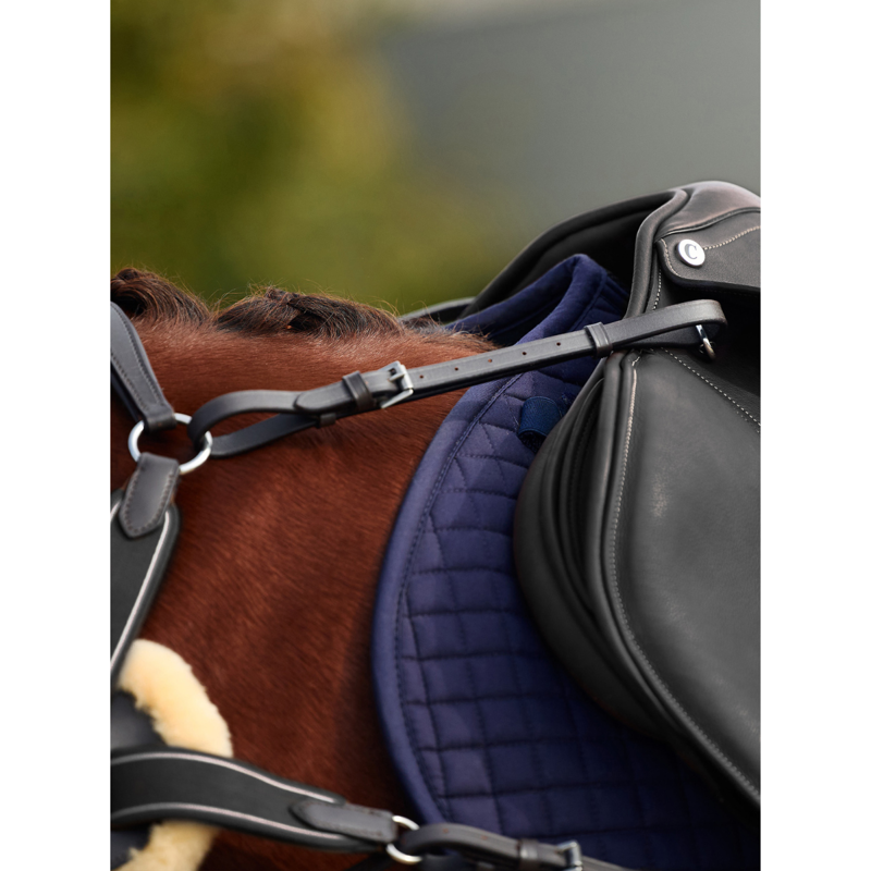 Dublin 5-Point Event Breastplate - Black-2