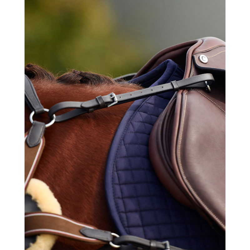 Dublin 5-Point Event Breastplate - Brown-2