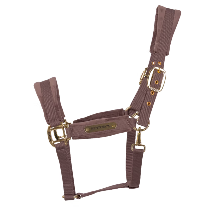 Kentucky Velvet Headcollar - Light Purple-2