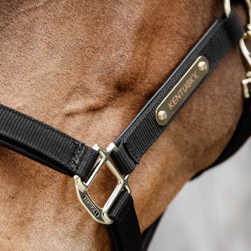 Kentucky Nylon Anatomic Halter - Black-2