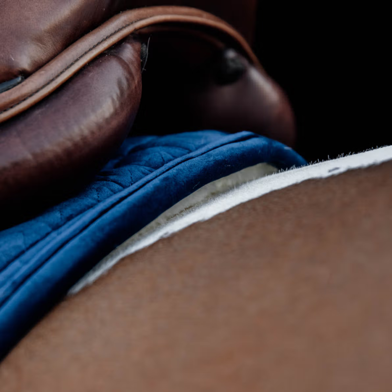 Kentucky Skin Friendly Velvet Jumping Saddlepad Full - Navy-2