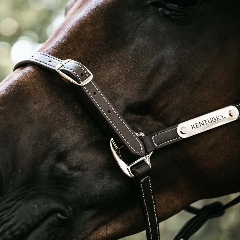 Kentucky Flexible Leather Headcollar - Brown-2