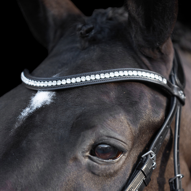 HV Polo Legacy Deluxe Bridle - Black-2