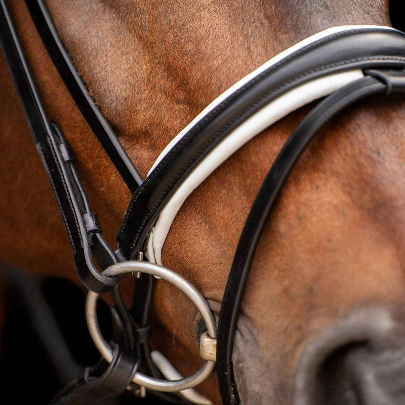 HV Polo Legacy Deluxe Bridle - Black/White-2