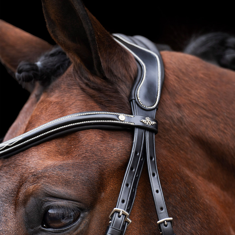 HV Polo Legacy Bridle - Black-2