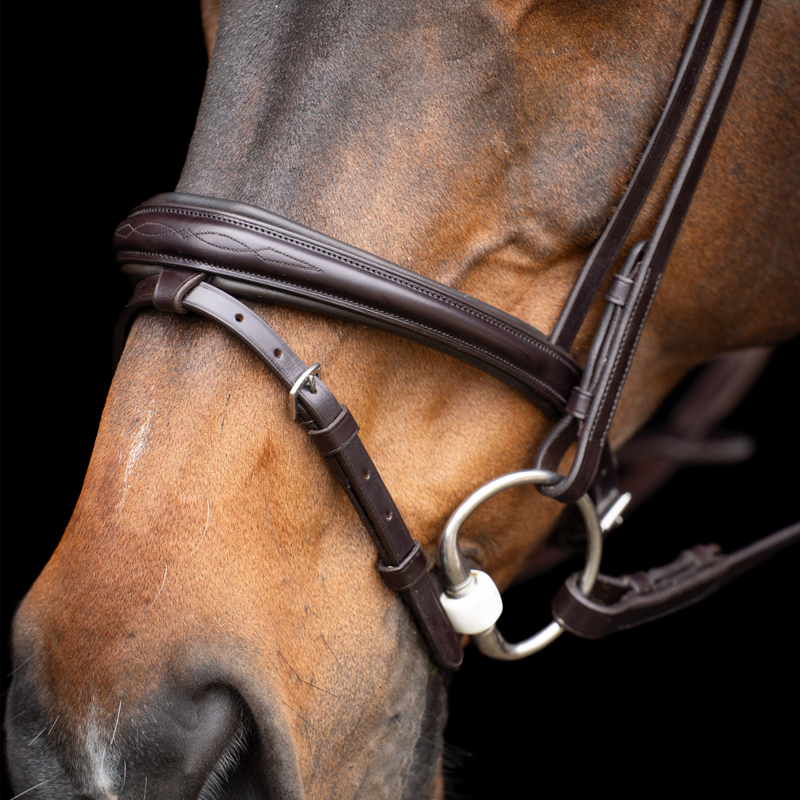 HV Polo Legacy Bridle - Chocolate Brown-2