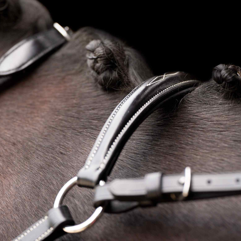 HV Polo Legacy Martingale - Black-3