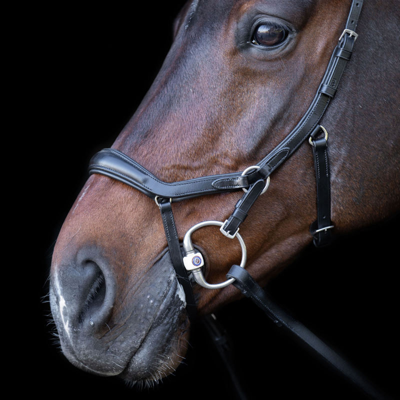 HV Polo Legacy Anatomical Deluxe Bridle - Black-2