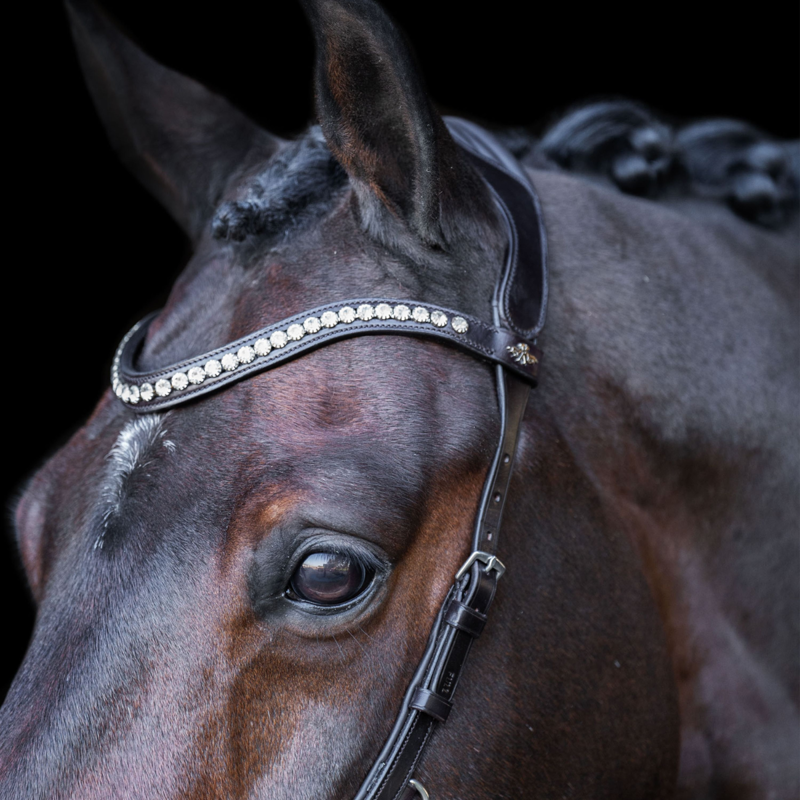 HV Polo Legacy Anatomical Deluxe Bridle - Chocolate Brown-2