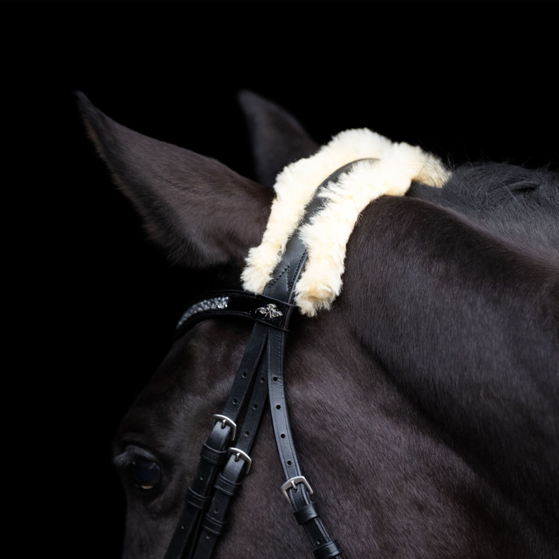 HV Polo Kate Bridle - Black-2