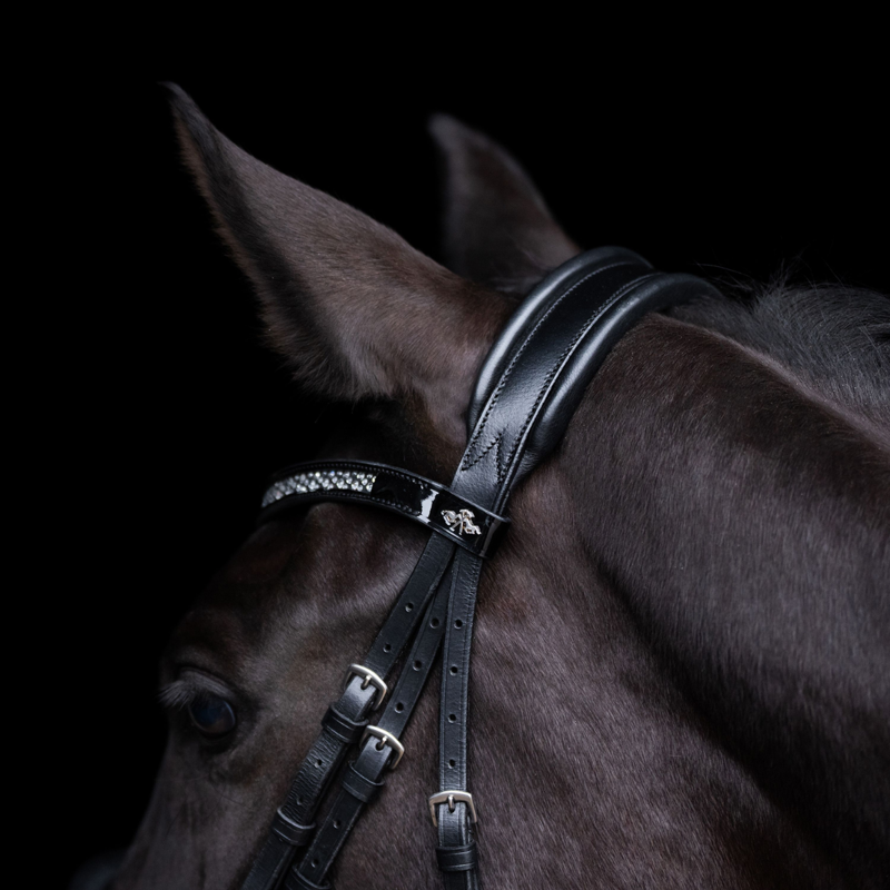 HV Polo Diana Bridle - Black-2