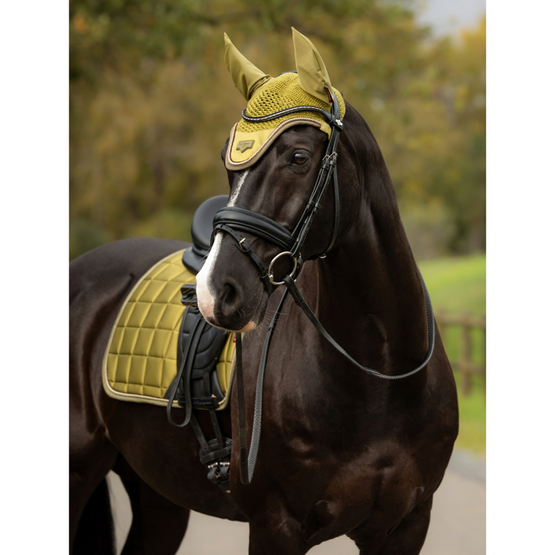 LeMieux Loire Fly Hood - Gooseberry-3