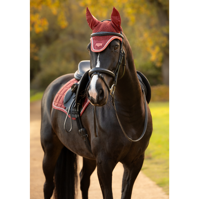LeMieux Loire Fly Hood - Russet-3