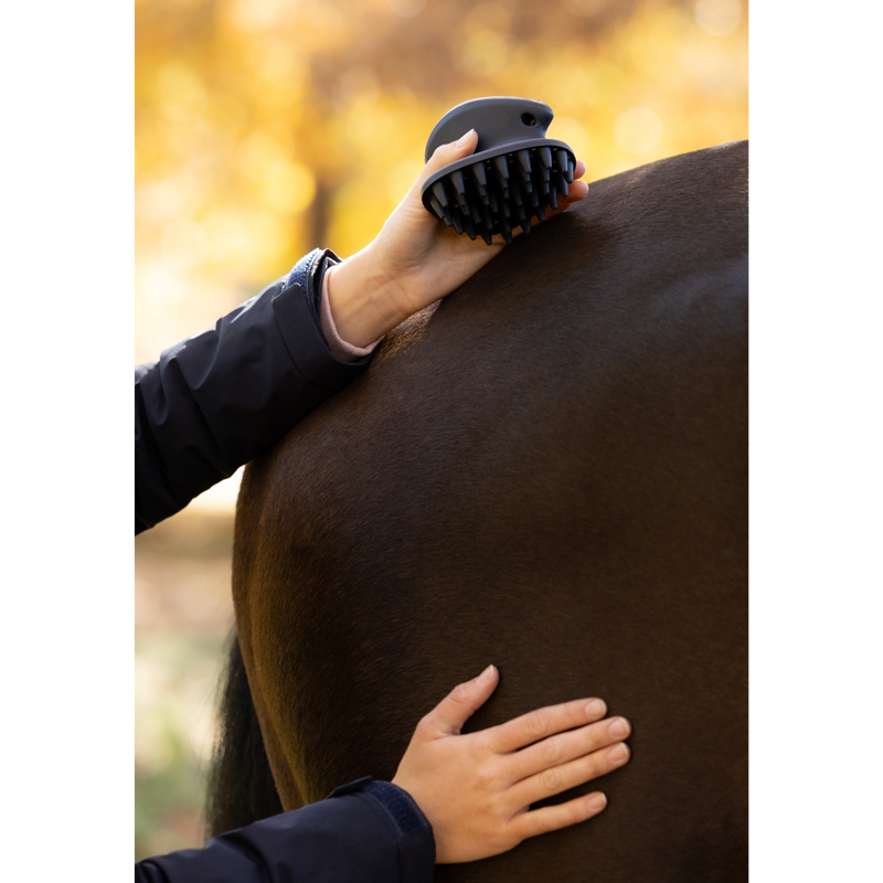 LeMieux Massage Brush - Navy-2