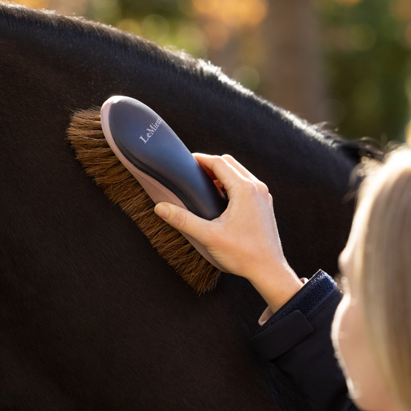 LeMieux Dandy Brush - Navy-2