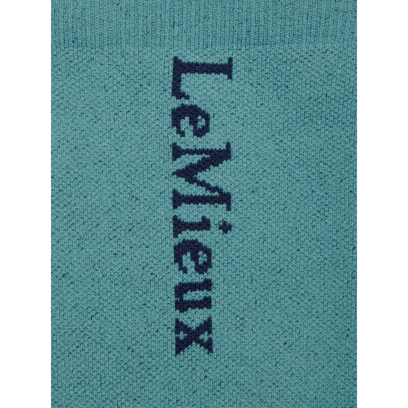 LeMieux Performance Socks - Aloe-2