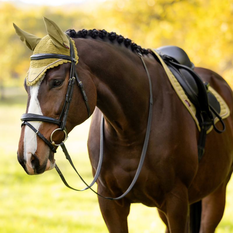 LeMieux Classic Fly Hood - Gooseberry-2